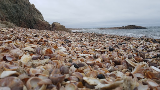 City Park «Lighthouse Point Park», reviews and photos, 2 Lighthouse Rd, New Haven, CT 06512, USA