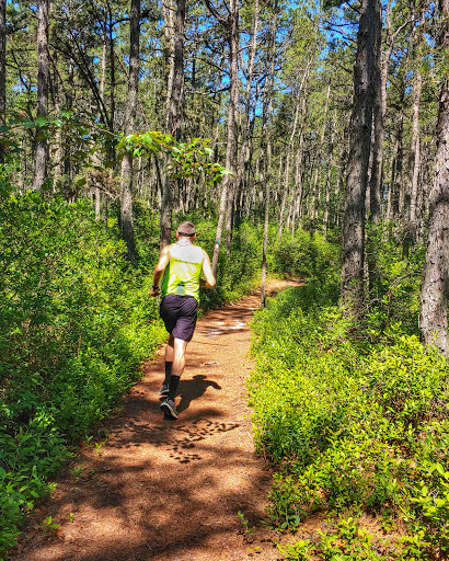 Community Park «Wells Mills County Park», reviews and photos, 905 Wells Mills Rd, Waretown, NJ 08758, USA