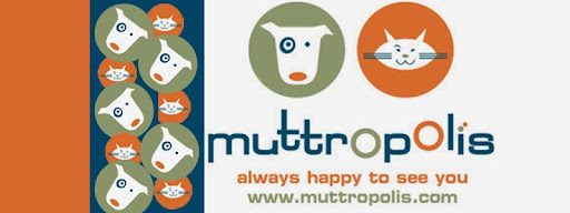 Pet Store «Muttropolis La Jolla», reviews and photos, 7755 Girard Ave, La Jolla, CA 92037, USA