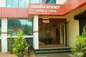 Samudra Regency Bar Hotel image