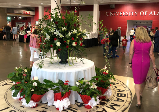 Stadium «Coleman Coliseum», reviews and photos, 323 Paul W Bryant Dr, Tuscaloosa, AL 35401, USA