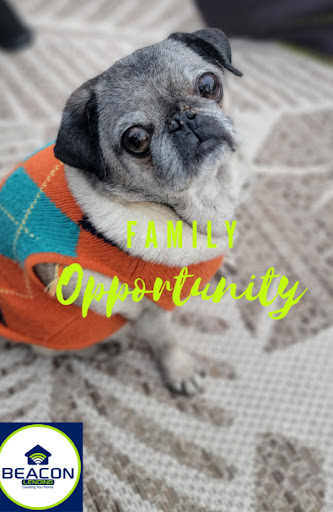 Mortgage Lender «The Mortgage Network : Brian Quigley», reviews and photos