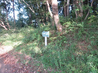 龍角寺古墳群103号墳