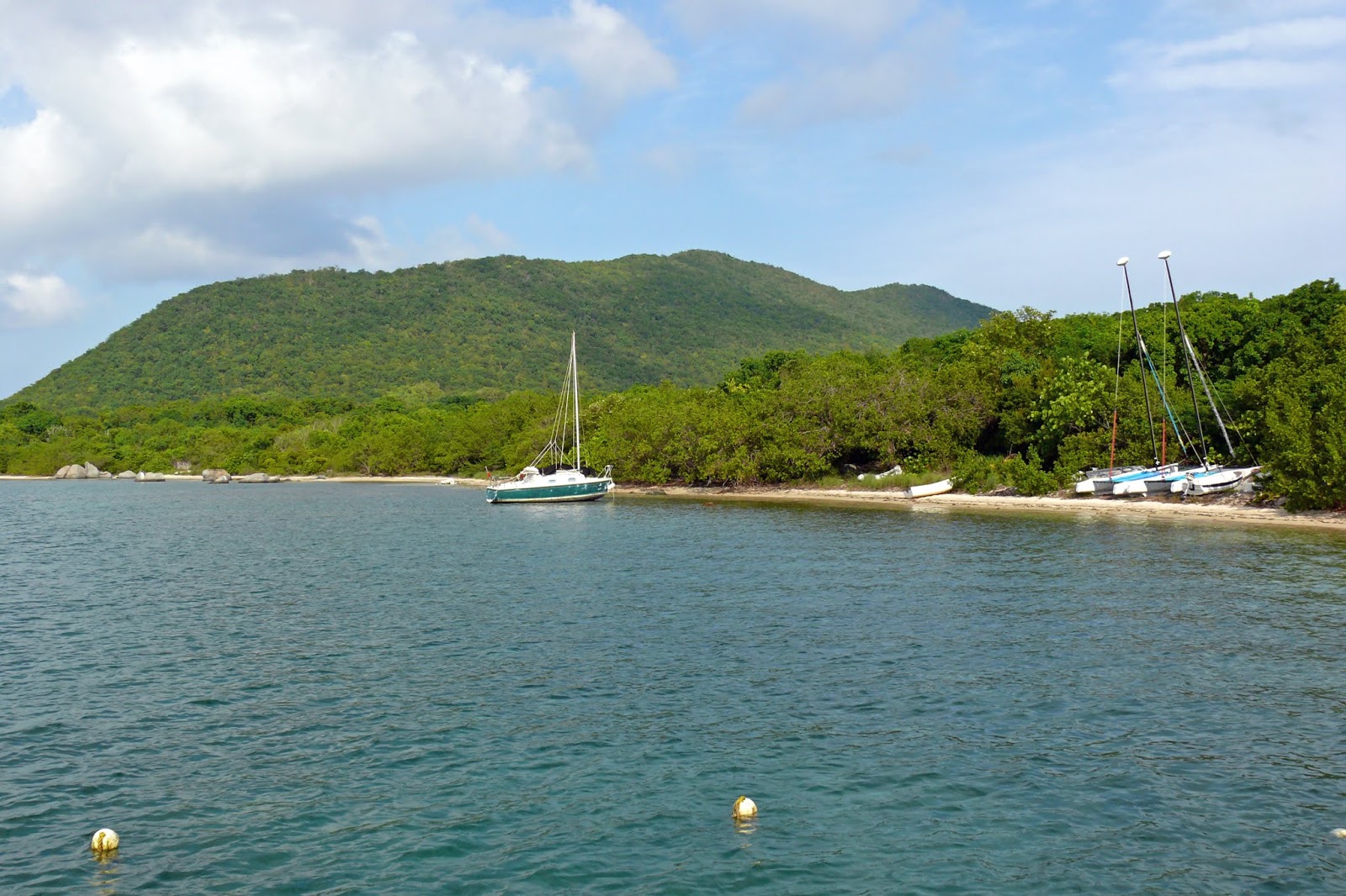 Foto di Trellis Bay con parzialmente pulito livello di pulizia