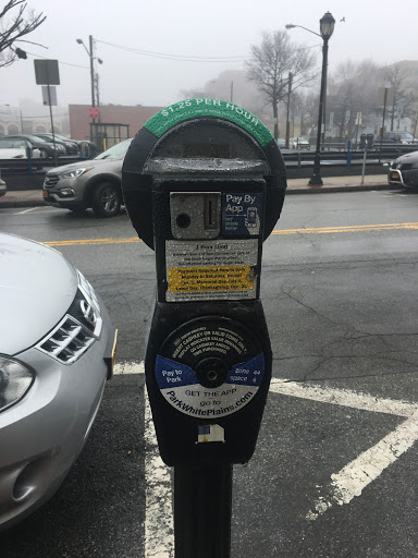 Dollar Store «Dollar Tree», reviews and photos, 100 Mamaroneck Ave, White Plains, NY 10601, USA