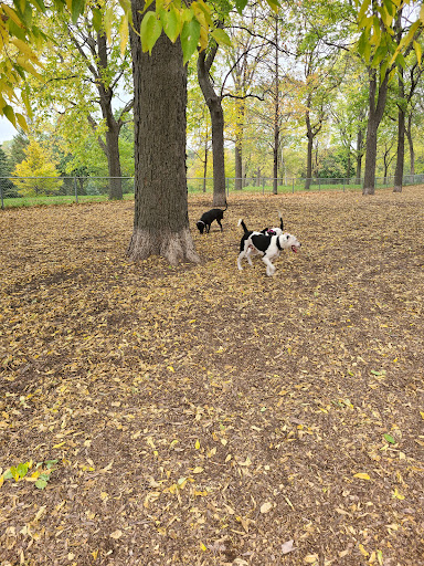 Dog Park «St. Anthony Parkway Off-Lease Dog Park», reviews and photos, 700 St Anthony Pkwy, Minneapolis, MN 55418, USA