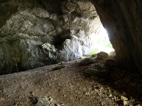 Grotte de la Balme à Collomb à Entremont-le-Vieux