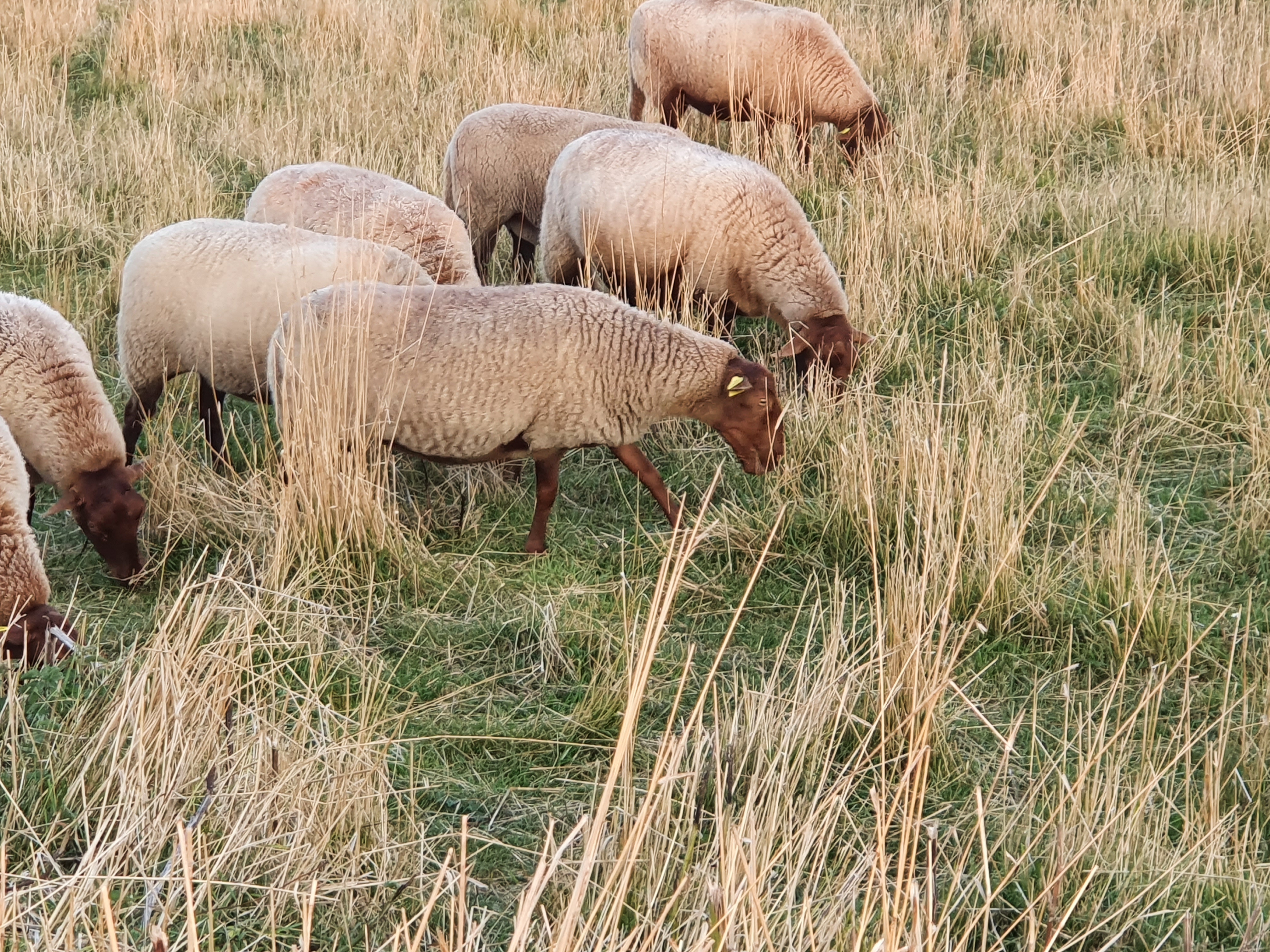 Photo n° 15 de l'avis de RAPHAEL.O fait le 19/09/2021 à 19:00