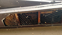 BeeMan Stan Bee Removal - Photo 7 - Car repair in , St. Petersburg