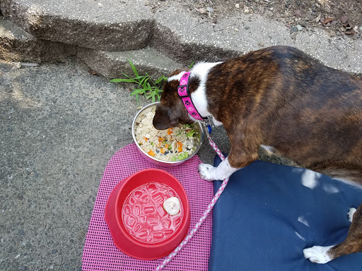 Deli «Morristown Deli», reviews and photos, 7 Elm St, Morristown, NJ 07960, USA