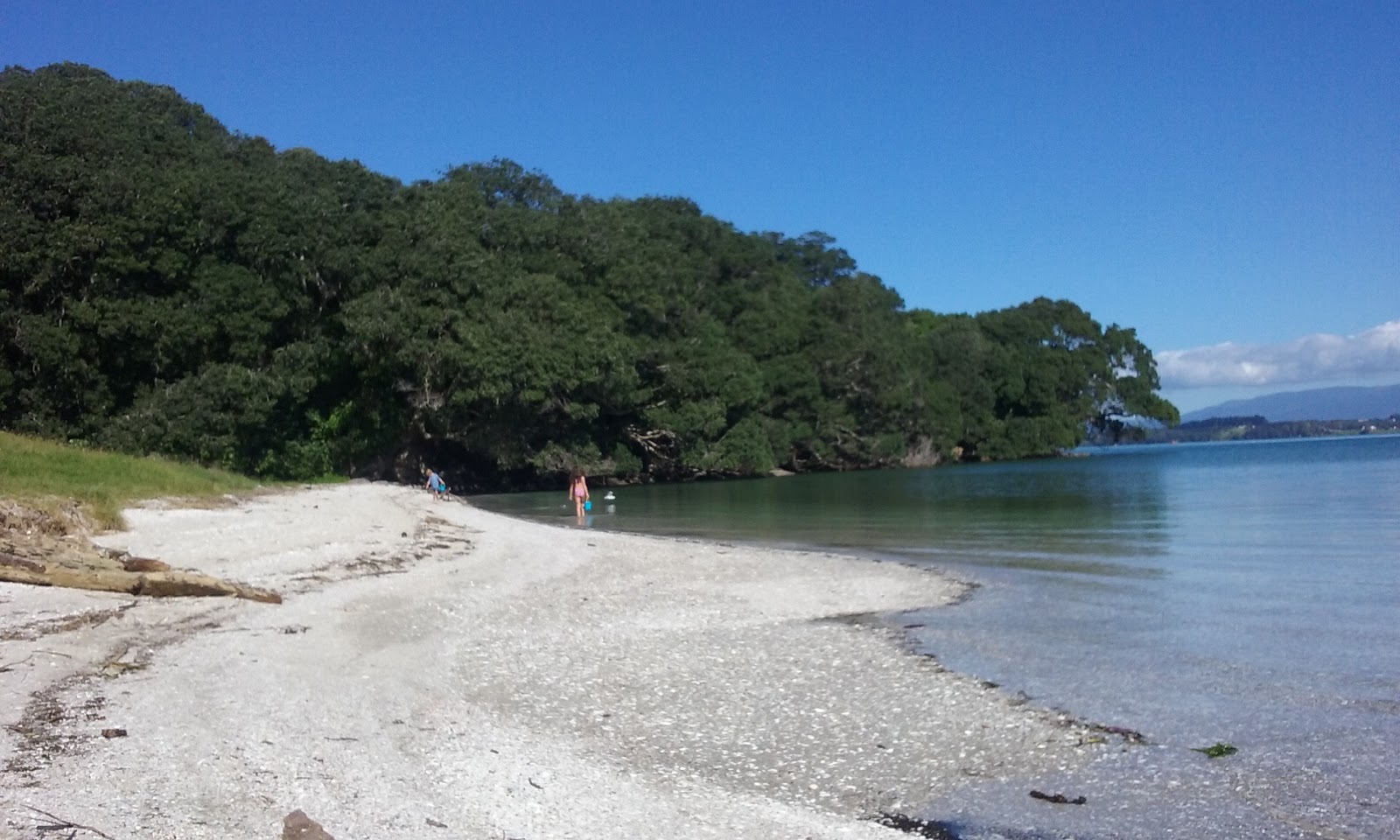 Shelly Bay的照片 带有碧绿色纯水表面
