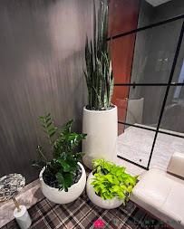 The Plant Lady: Indoor Plant Design and Maintenance - Photo 2 - Car repair in Dallas, TX, Carrollton