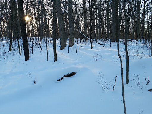 Public Golf Course «Hansen Park Golf Course», reviews and photos, 9800 Underwood Pkwy, Wauwatosa, WI 53226, USA