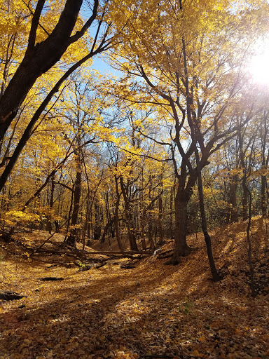 Campground «Baker Campground», reviews and photos, 2309 Baker Park Rd, Maple Plain, MN 55359, USA