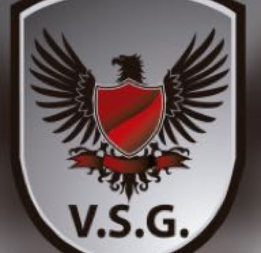 VSG Seguridad Privada