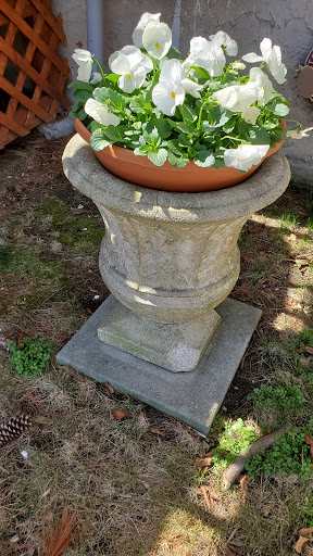 Home Improvement Store «The Home Depot», reviews and photos, 5025 Jericho Turnpike, Commack, NY 11725, USA