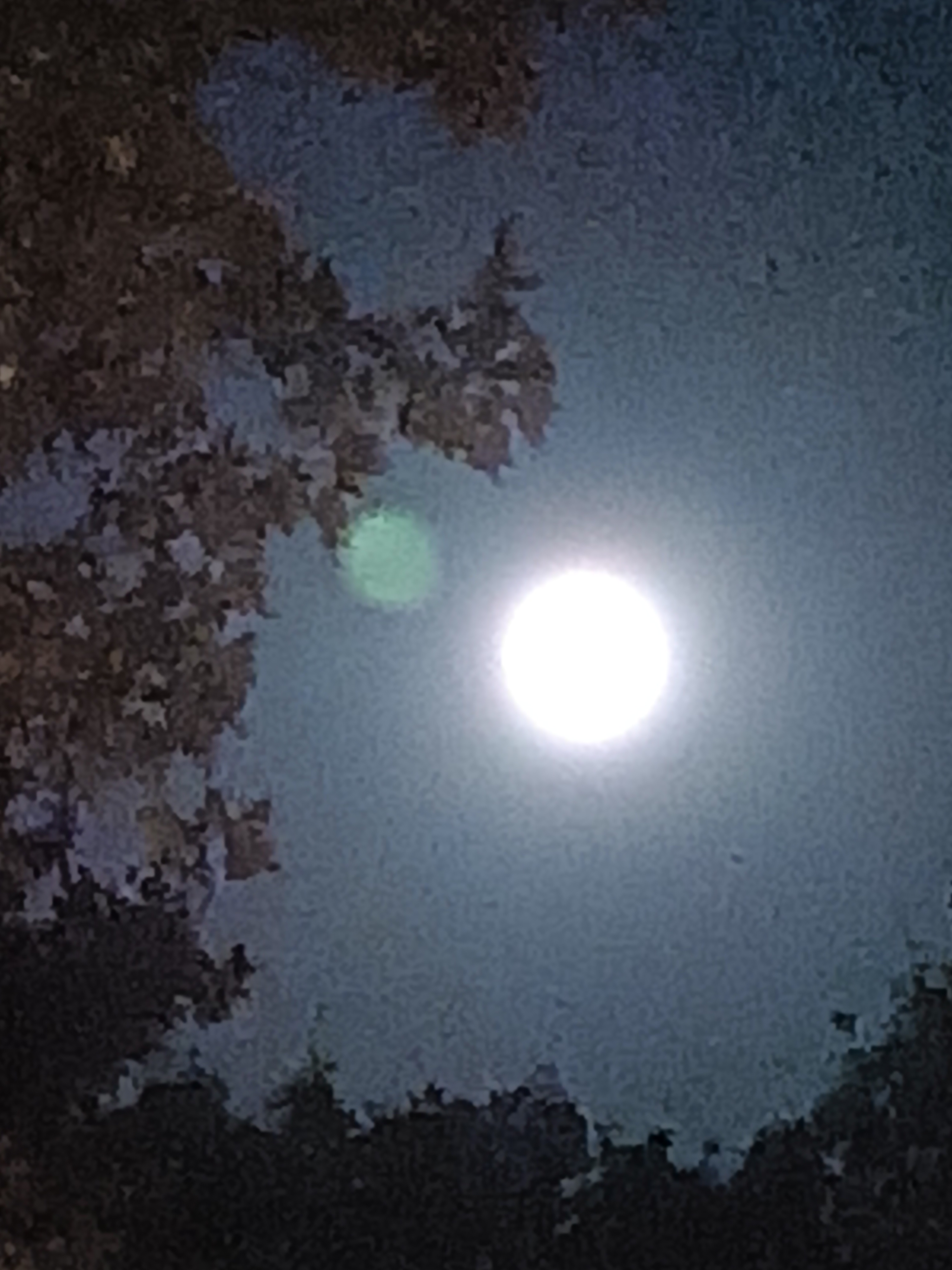 Photo n° 5 de l'avis de Stanley.a fait le 02/10/2023 à 20:22