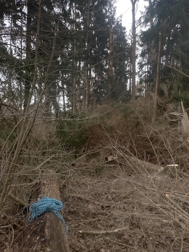 Dr. med. vet. Jutta Freudenfeld-Waid unter Bad Wildungen, Hessen