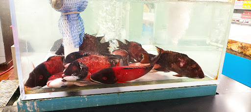 Shopping Mall «San Gabriel Square», reviews and photos, 140 W Valley Blvd, San Gabriel, CA 91776, USA