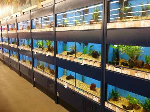 Pet Supply Store «Petco Animal Supplies», reviews and photos, 6015 Stage Rd, Bartlett, TN 38134, USA