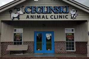 Ceglinski Animal Clinic image