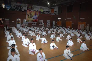 Thunder Sports Club- Karate Classes/Yoga Classes/Silambam Classes image