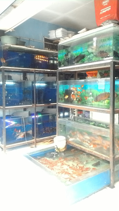 Agung Aquarium