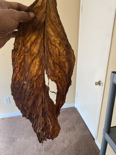 Tobacco Shop «Leaf Only», reviews and photos, 440 Middlefield St, Middletown, CT 06457, USA