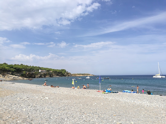 Platja del Port de la Vall