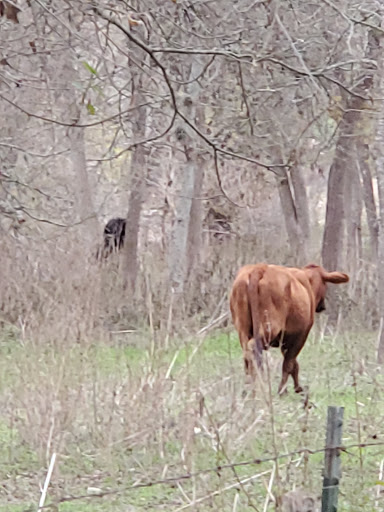 Park «Pearsall Park», reviews and photos, 4838 Old Pearsall Rd, San Antonio, TX 78242, USA