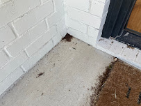 White Knight Pest Control, Inc. - Photo 1 - Car repair in Salado, TX, Killeen