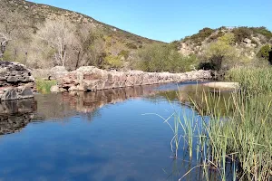 Old Mission Dam image