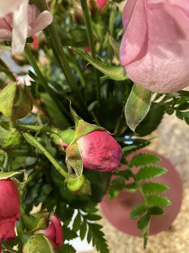 Florist «Flower Center», reviews and photos, 5659 Alpha Rd, Dallas, TX 75240, USA