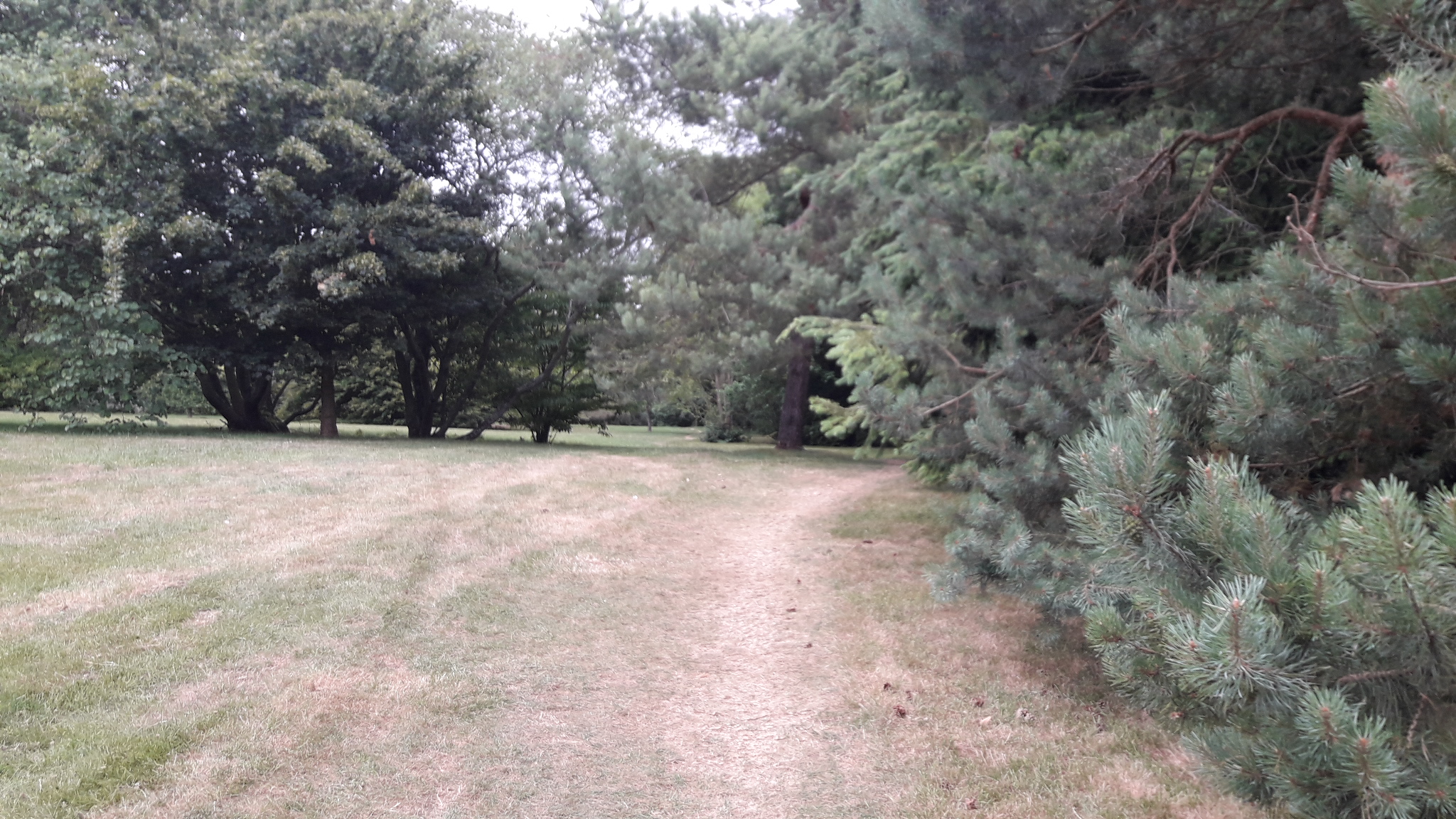 Photo n° 3 de l'avis de leb..o fait le 28/06/2017 à 13:06