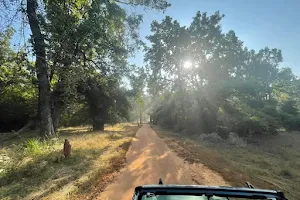 Bandhavgarh National Park image