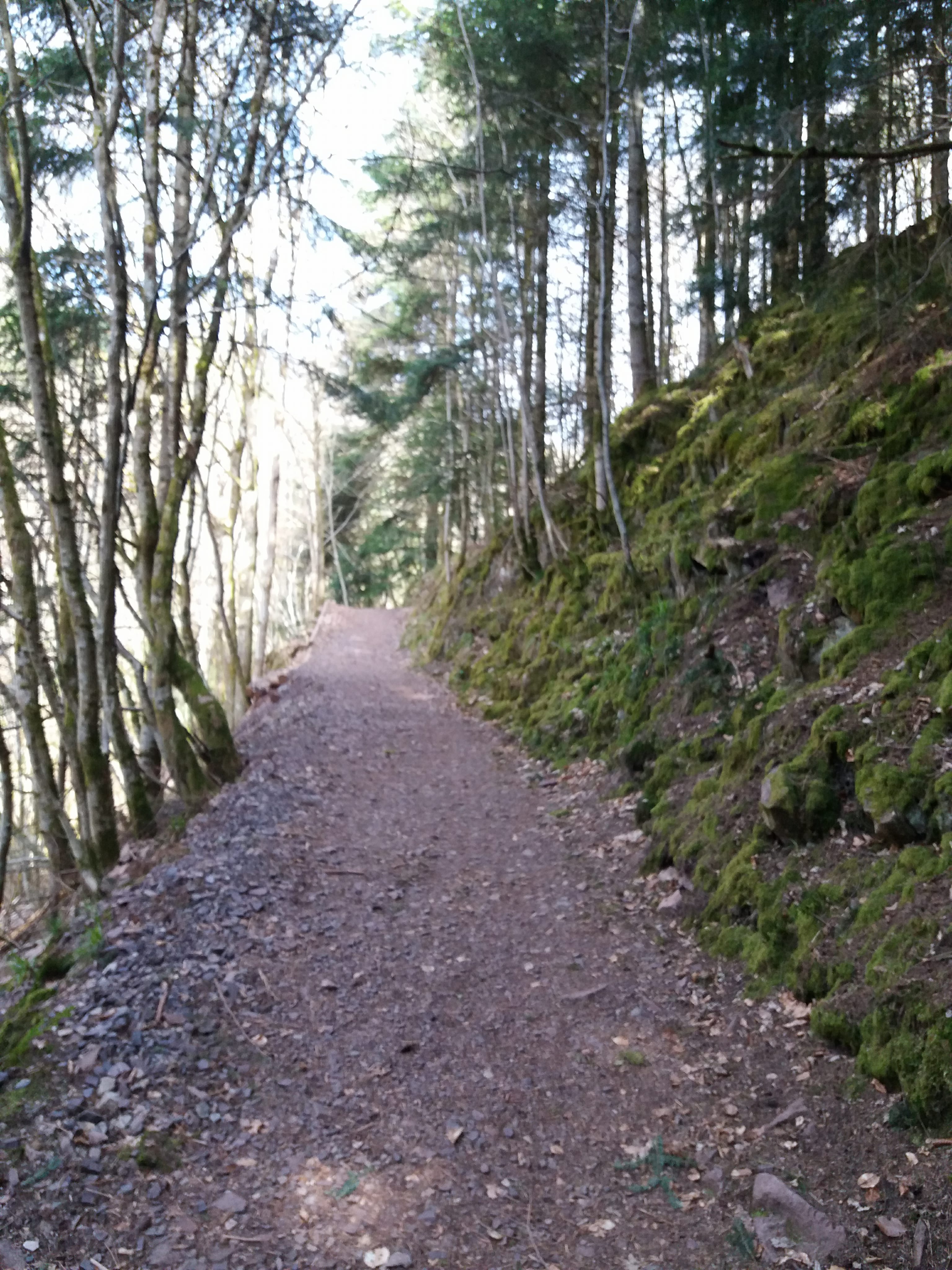 Photo n° 4 de l'avis de yann.a fait le 12/04/2018 à 05:08