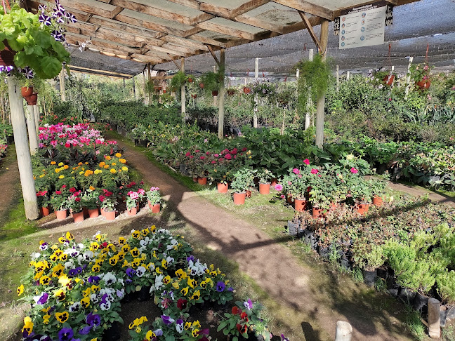 Vivero El Copihue - Centro de jardinería