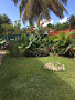 Photos du propriétaire Villa Villa Mia - Saint-François 97118 Saint-François (miniature)