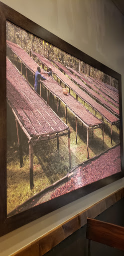 Coffee Shop «Starbucks», reviews and photos, 2113 State Hill Rd, Wyomissing, PA 19610, USA