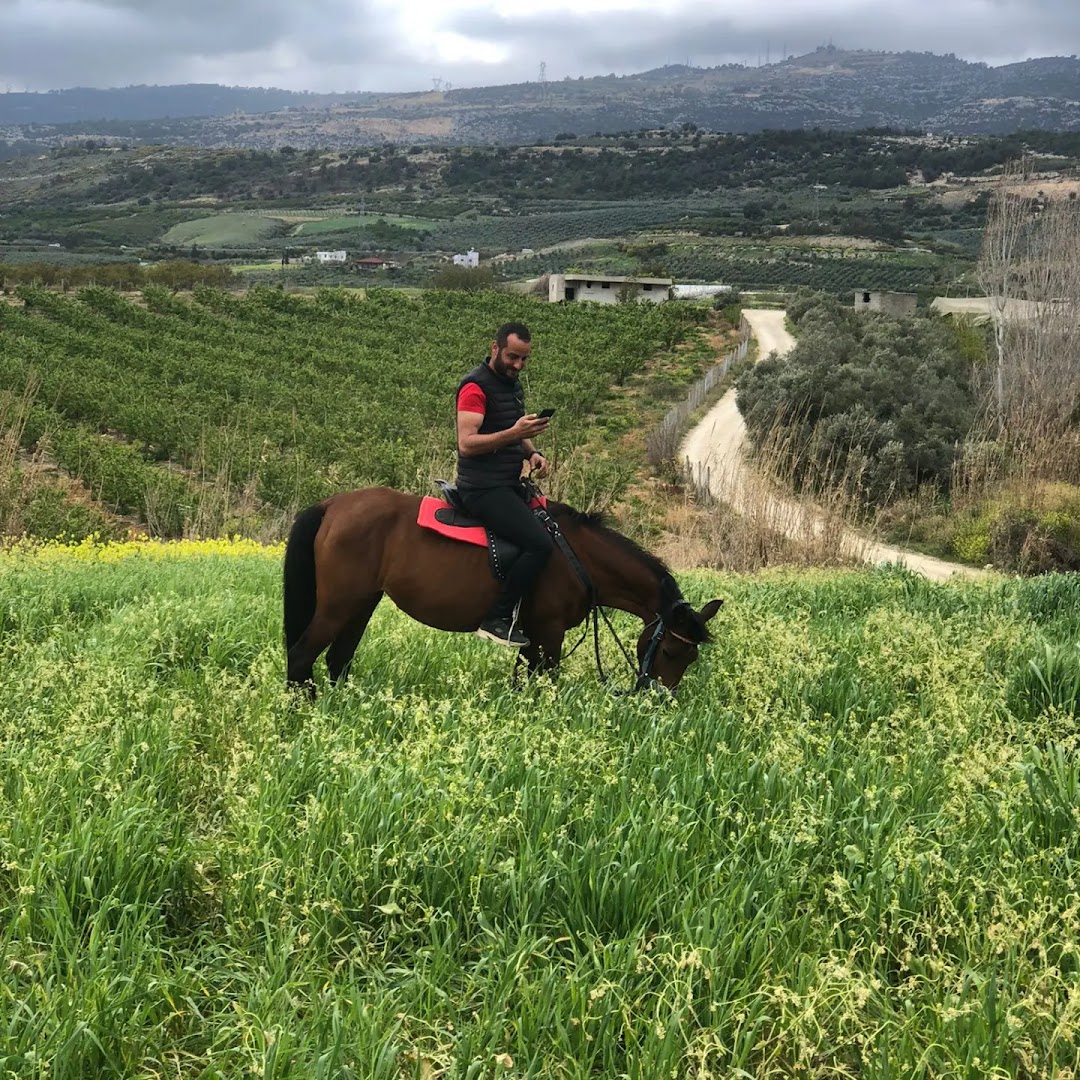 Kürk at binme merkezi ve mantar çiftlik