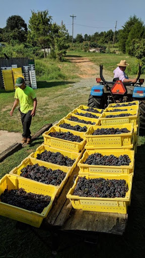 Winery «Grove Winery», reviews and photos, 7360 Brooks Bridge Rd, Gibsonville, NC 27249, USA