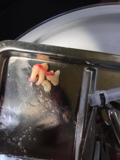 Af1qipnp1rjrxdsqmsg8fylgkuwjpatlavpxovhospp4