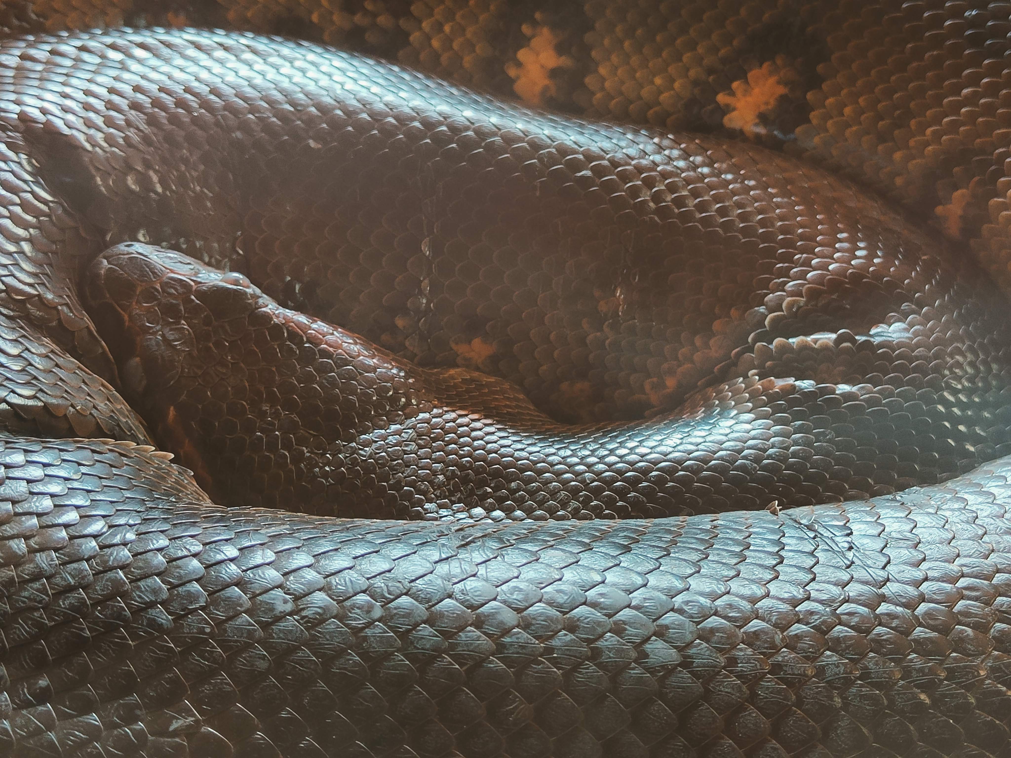 Photo n° 4 de l'avis de Loutre1870. fait le 24/08/2022 à 18:36