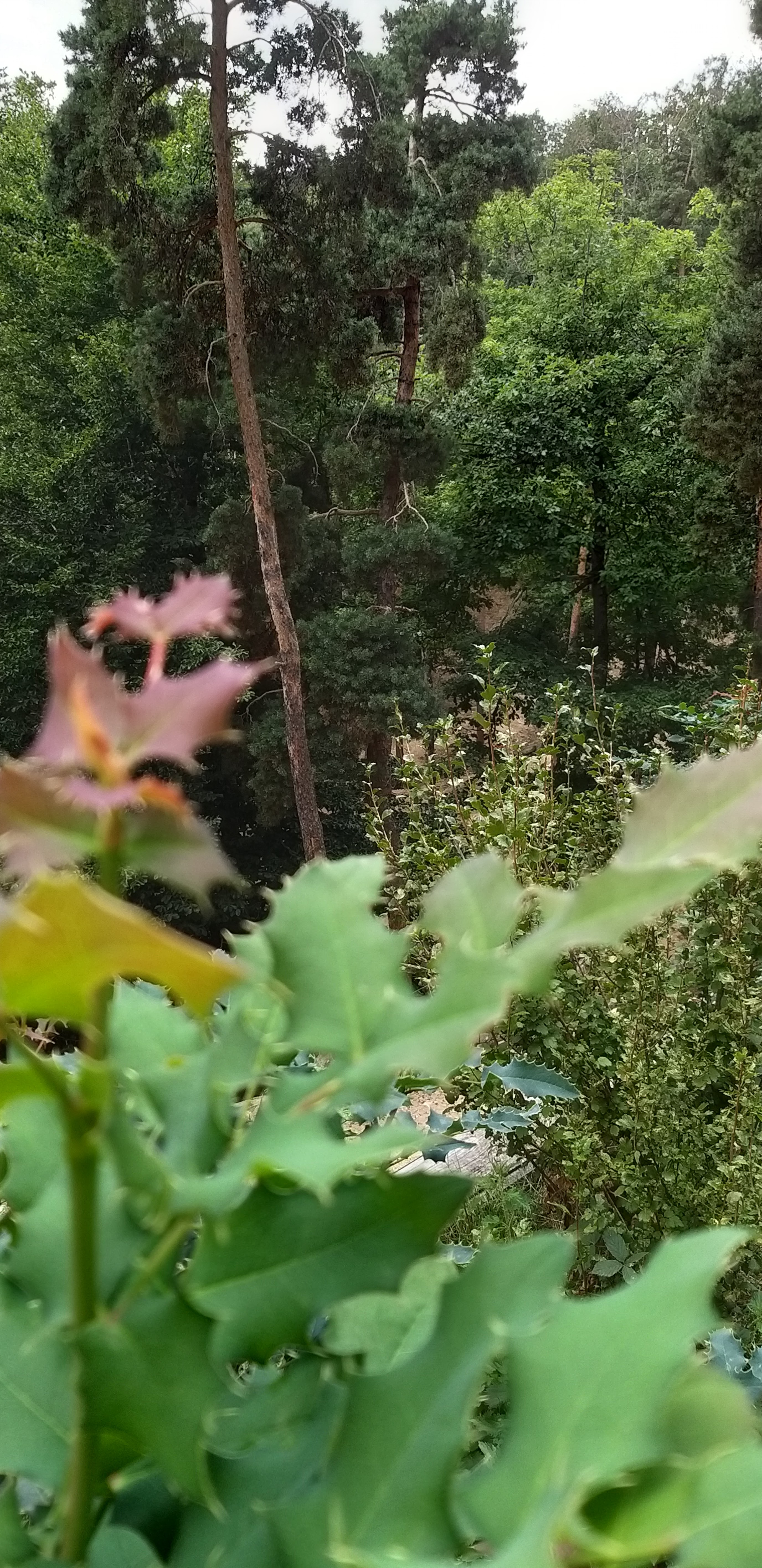 Photo n° 34 de l'avis de unmecdesannees80. fait le 08/09/2019 à 03:14