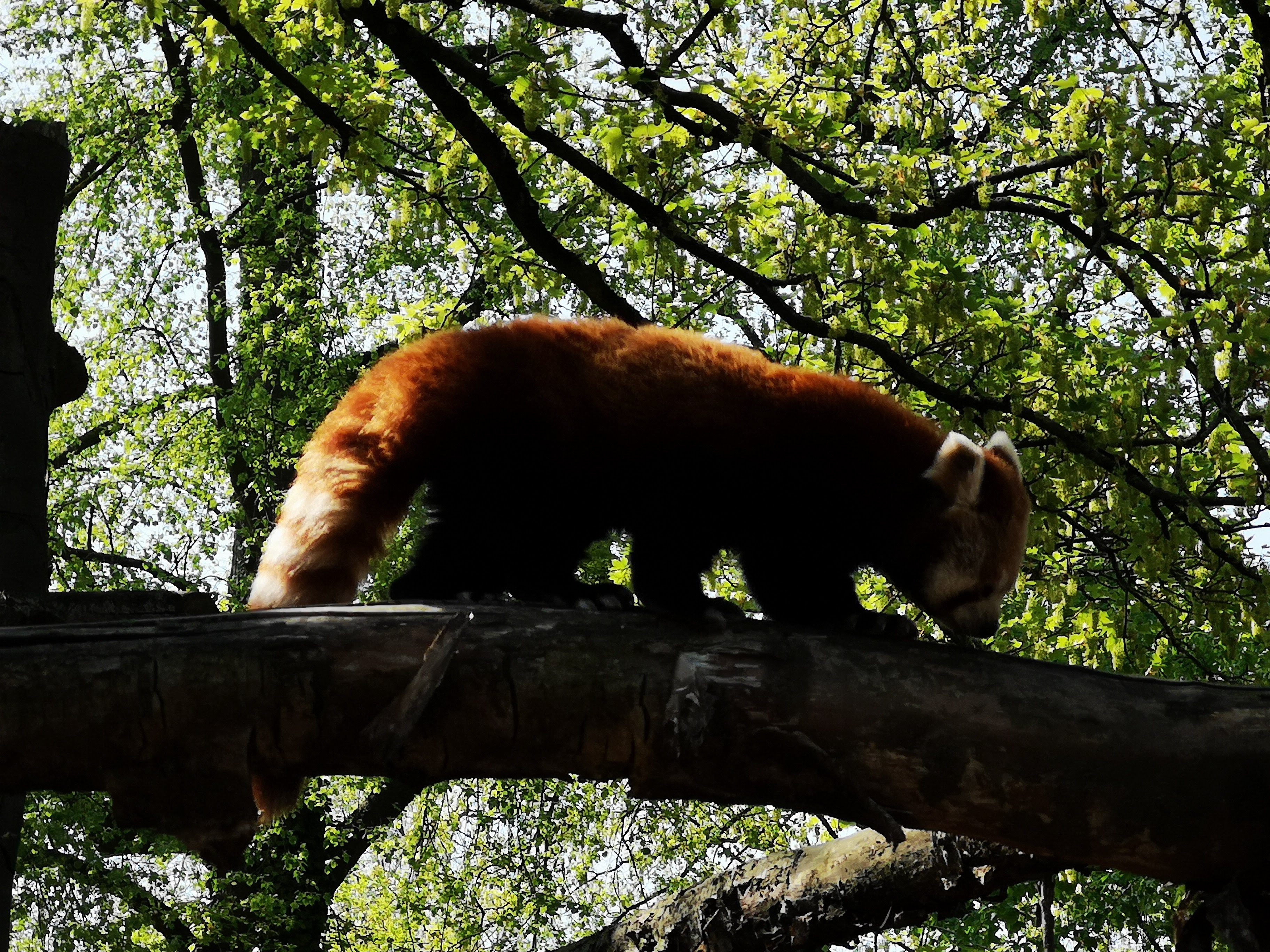 Photo n° 48 de l'avis de Bryan.r fait le 24/04/2018 à 19:19