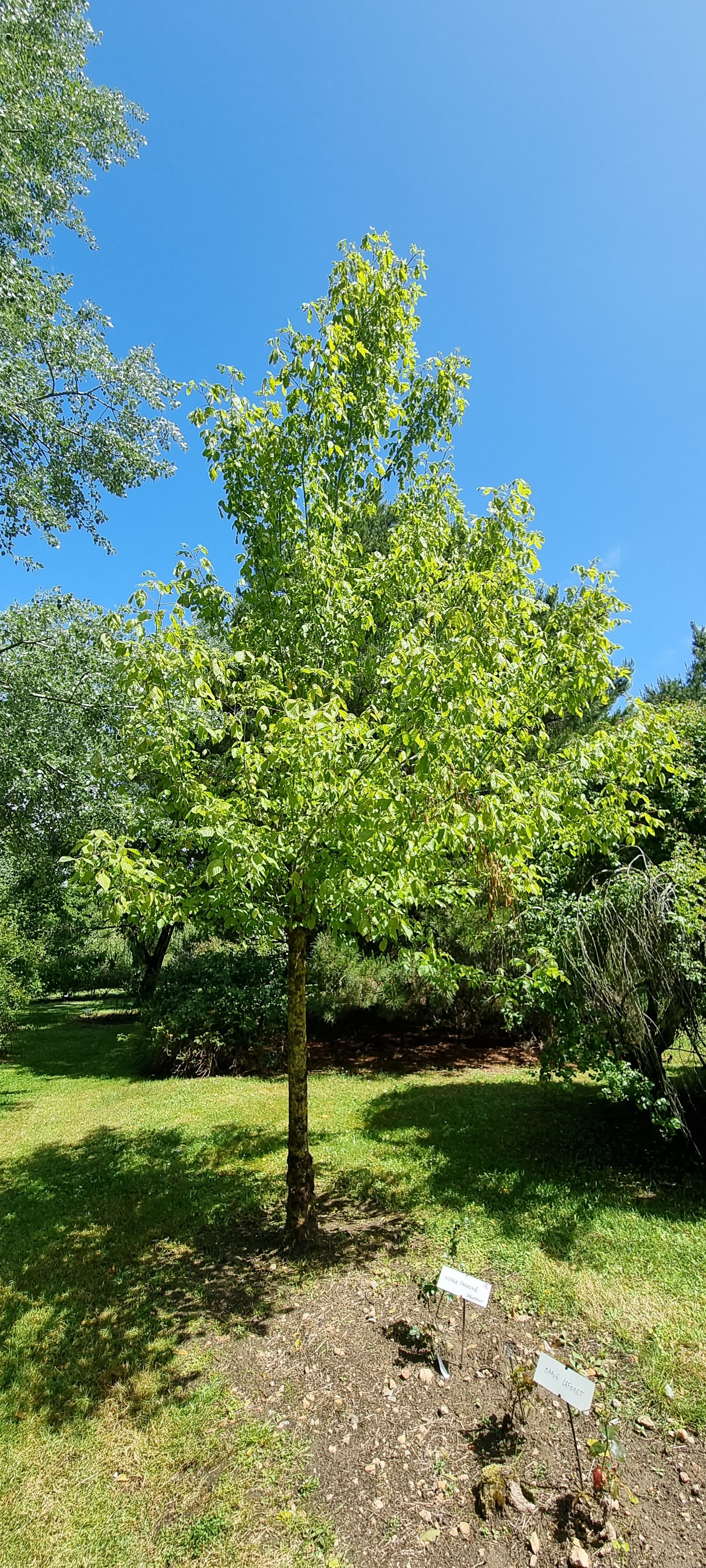 Photo n° 17 de l'avis de Lavialle.e fait le 24/05/2021 à 16:18