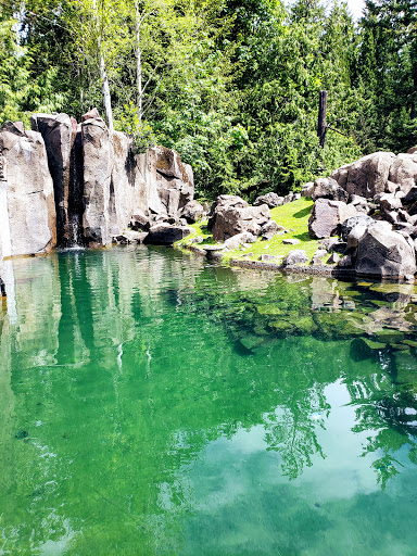 Zoo «Oregon Zoo», reviews and photos, 4001 Southwest Canyon Road, Portland, OR 97221, USA