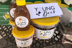 Young Bees image