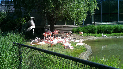 Golf Course «A.H. Blank Golf Course», reviews and photos, 808 County Line Rd, Des Moines, IA 50320, USA