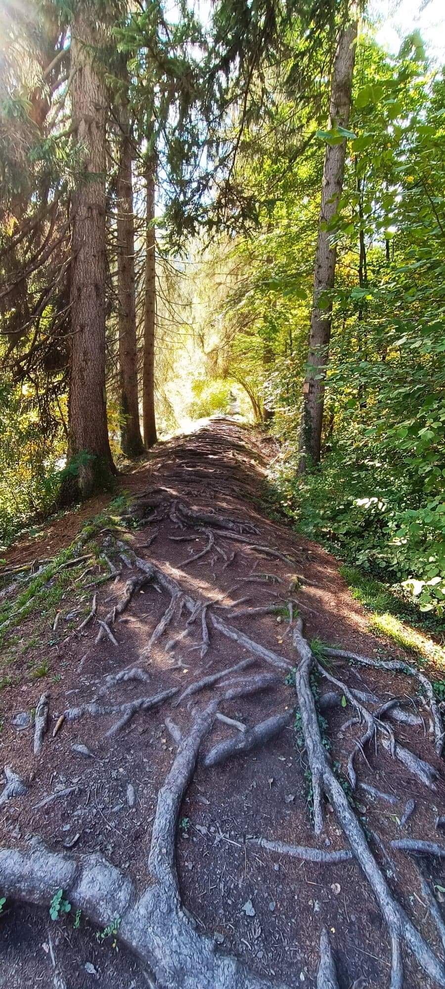 Photo n° 5 de l'avis de Sabrina.l fait le 11/10/2022 à 18:09